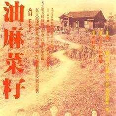 油麻菜籽,绿色黄金的种植与利用